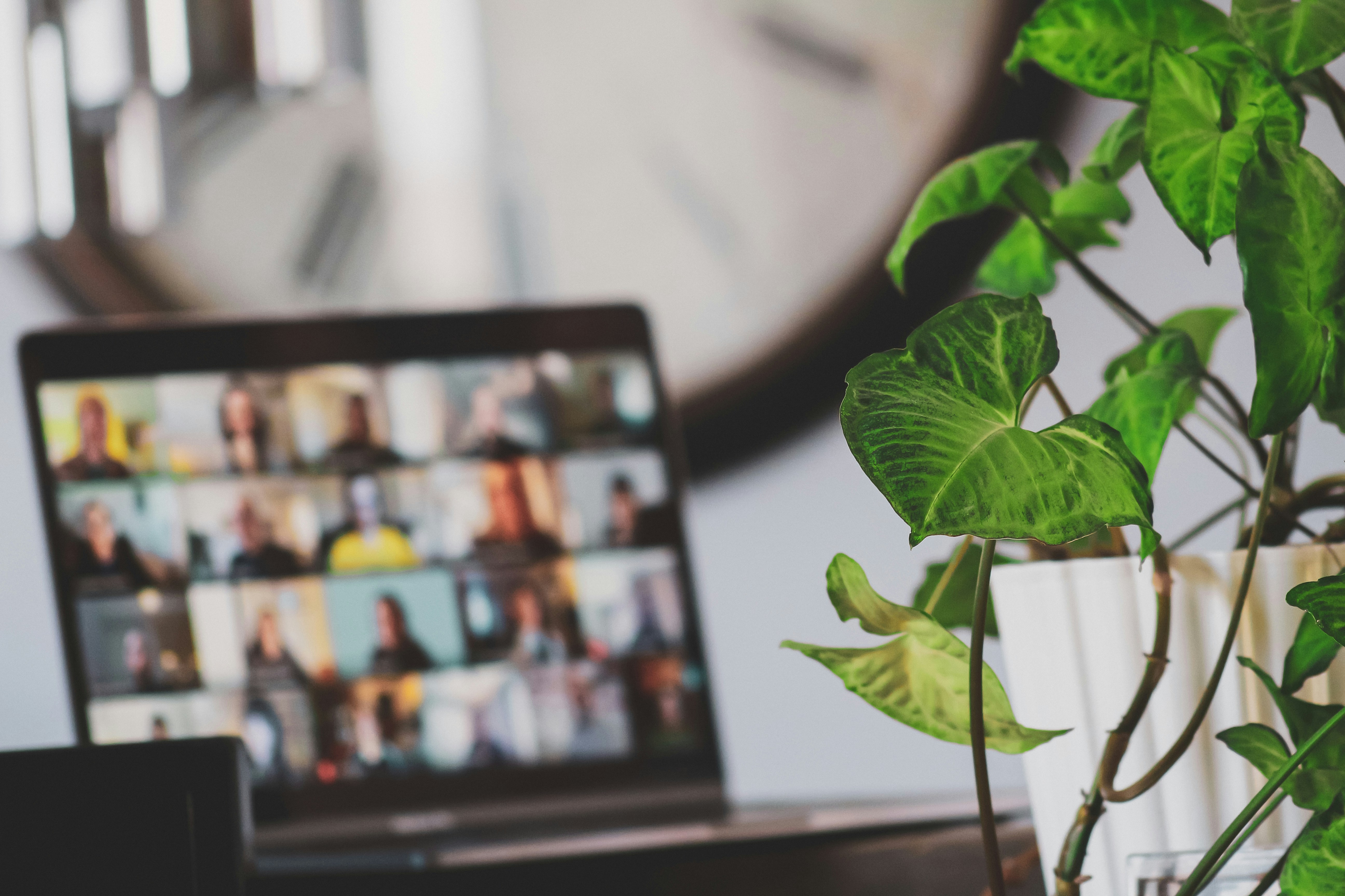 Secure software development